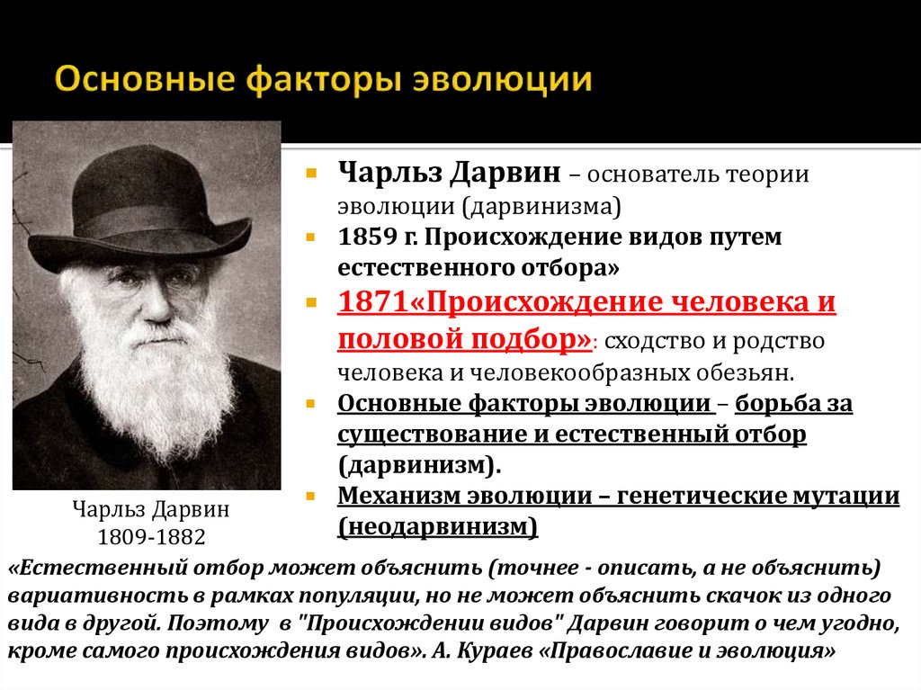 Появление видов. Теория естественного отбора Чарльза Дарвина. Чарльз Дарвин теория эволюции. Эволюционная теория Дарвина 1859. Чарльз Дарвин создатель научной теории эволюции логика.