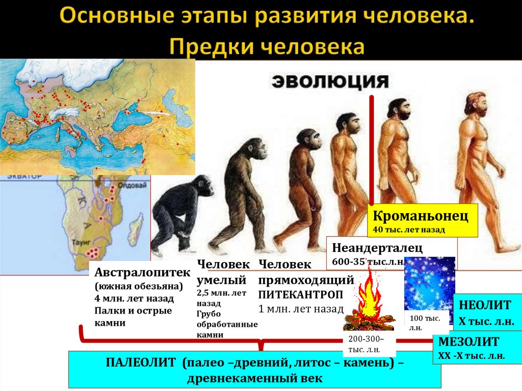 Рождение истории человечества. Этапы развития человека хомо сапиенс. Стадии развития хомо сапиенс. Этапы эволюции хомо сапиенс. Основные этапы эволюции человека дриопитек.