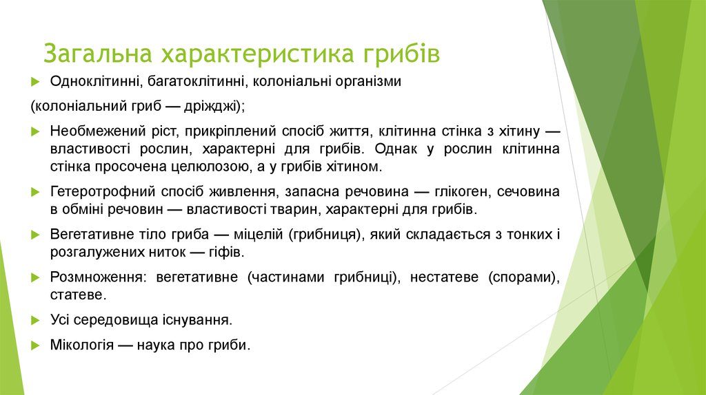 Загальна характеристика грибів