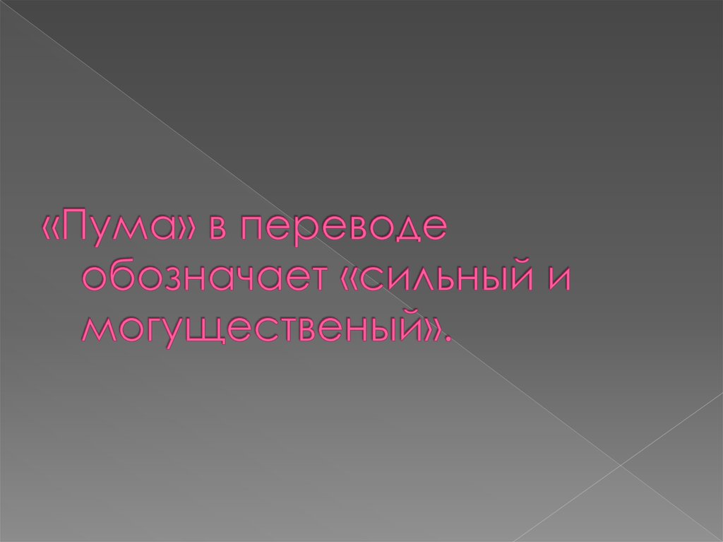 «Пума» в переводе обозначает «сильный и могущественый».