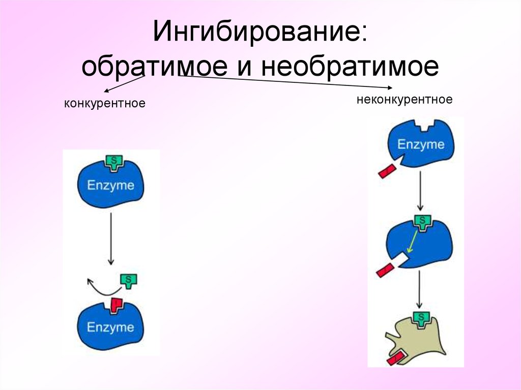 Неконкурентное ингибирование схема