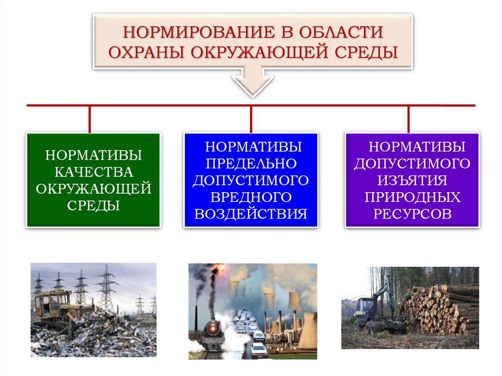 Виды охраны окружающей среды. Нормирование в области охраны окружающей среды. Нормирование качества окружающей среды. Нормативы в области охраны окружающей среды. Экологические нормативы качества окружающей среды.