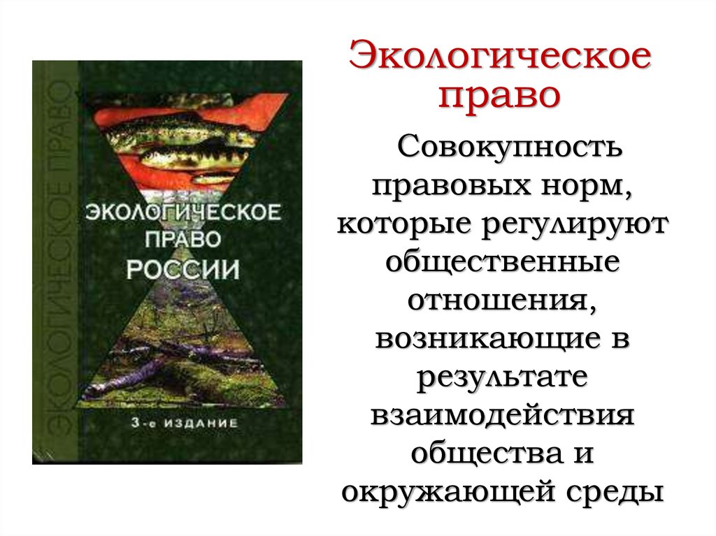 Экологическое равновесие 4 класс окружающий мир презентация