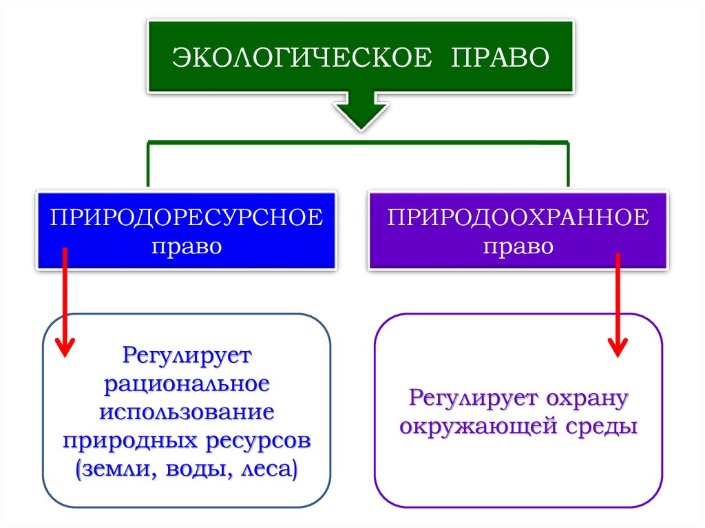 Экологическим правом. Экологическое право природоресурсное право природоохранное право. Экологическое право делится на. Что регулирует экологическое право. Экологическое право состоит из.