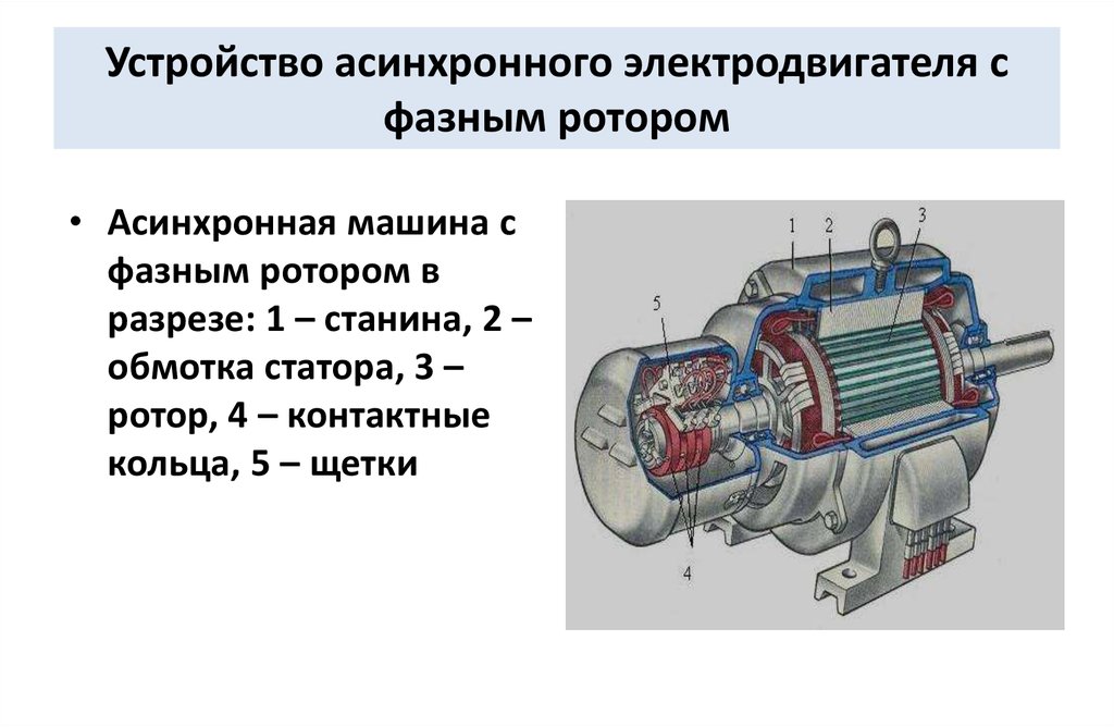 Устройство асинхронного электродвигателя с фазным ротором