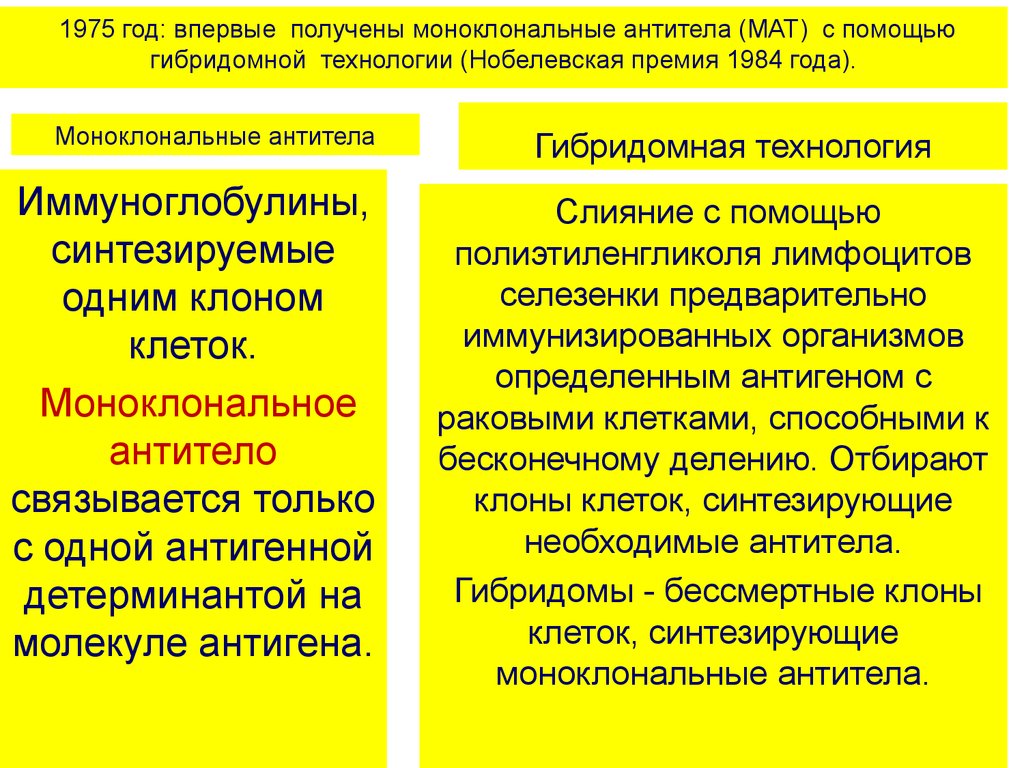 Гибридомная технология и моноклональные антитела презентация