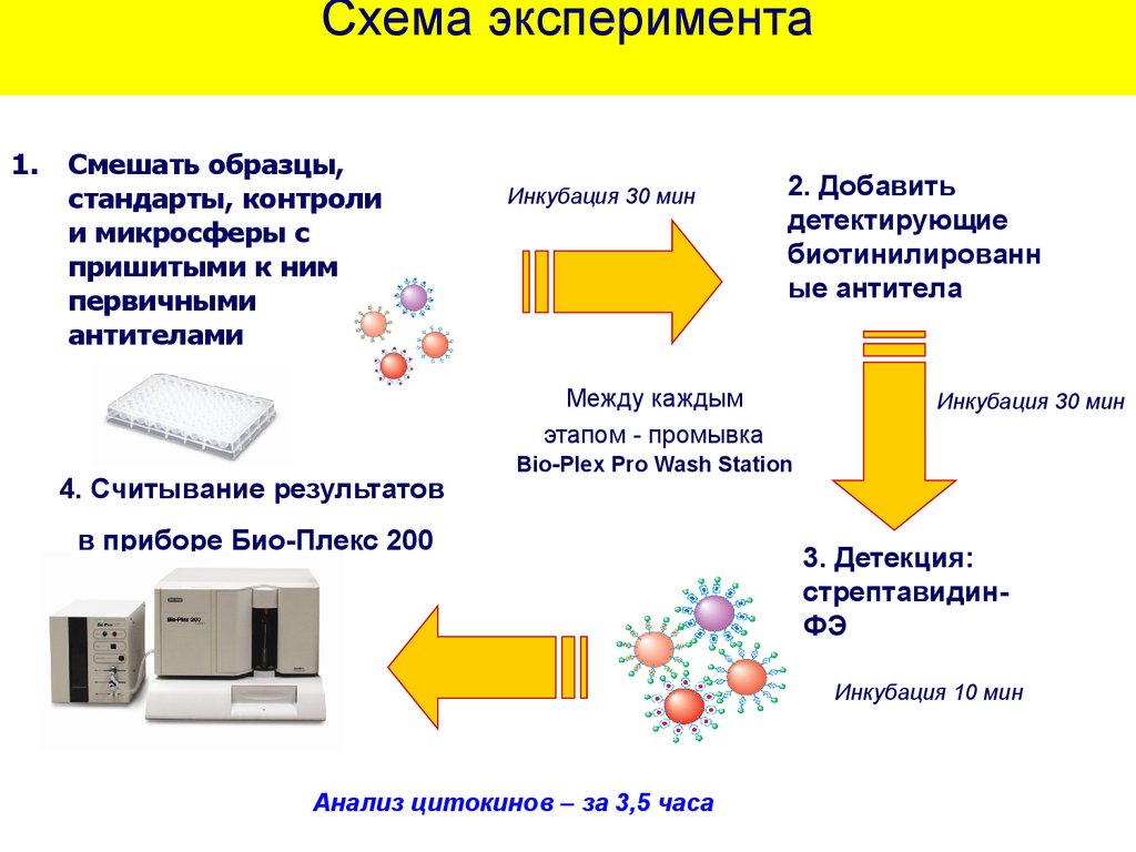 Что такое схема эксперимента