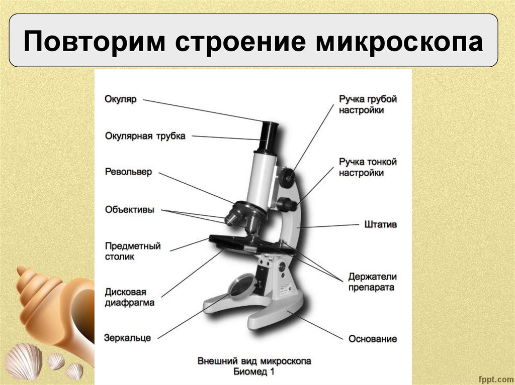 Электронный микроскоп картинка с подписями