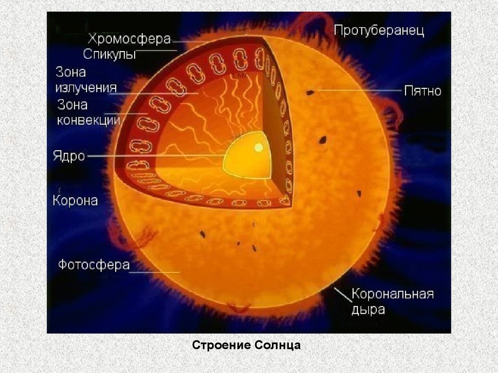 Схема внутреннего строения солнца