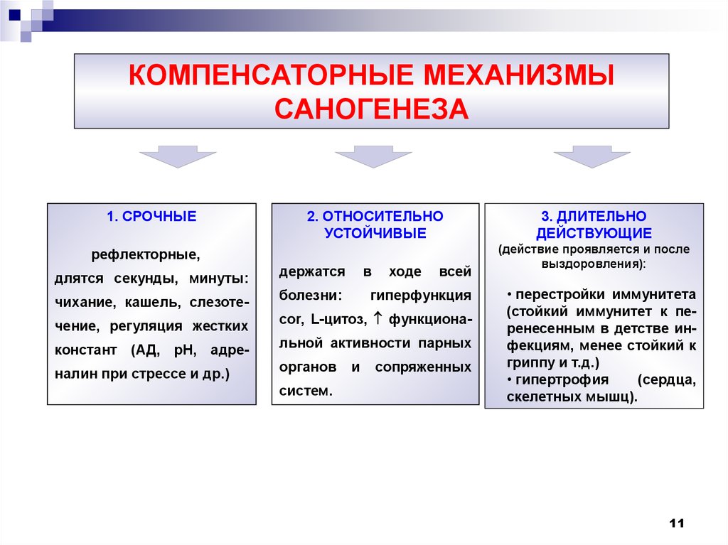 Схему защитно приспособительных механизмов организма при умирании