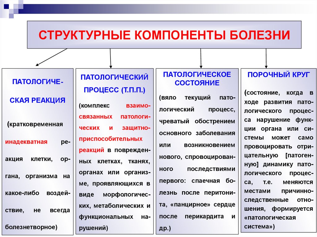 Структурные компоненты