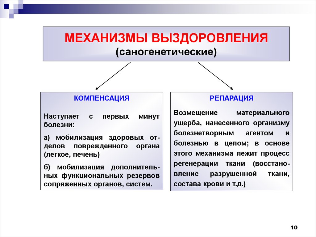 Роль механизмов. Общие механизмы выздоровления. Классификации механизмов выздоровления.