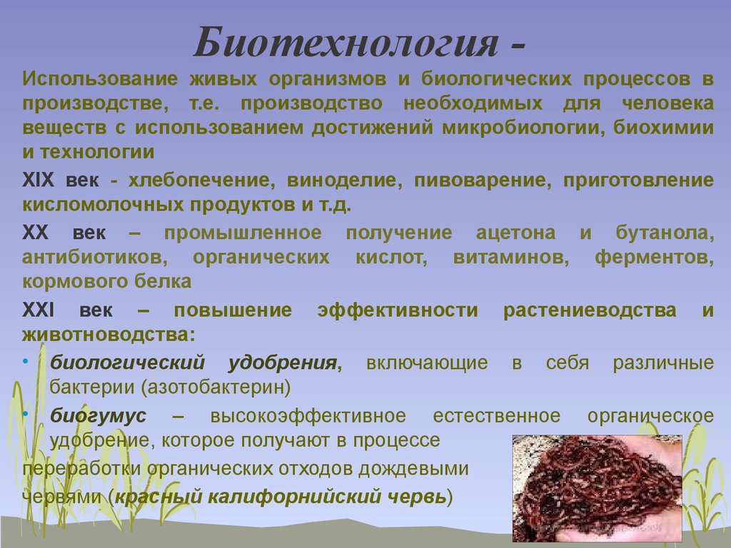 Живой использовать. Биотехнологические процессы. Биотехнология использование живых организмов. Применение биотехнологий. Биотехнология пищевая биотехнология.