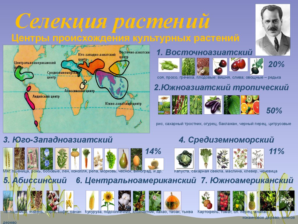 Восточноазиатский центр происхождения культурных. Центры происхождения культурных растений, закон Вавилова. Центры происхождения культурных растений по н.и Вавилову таблица. Вавилов центры происхождения культурных растений карта. Центры культурных растений Вавилова.