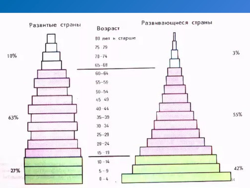 Анализ половозрастной пирамиды