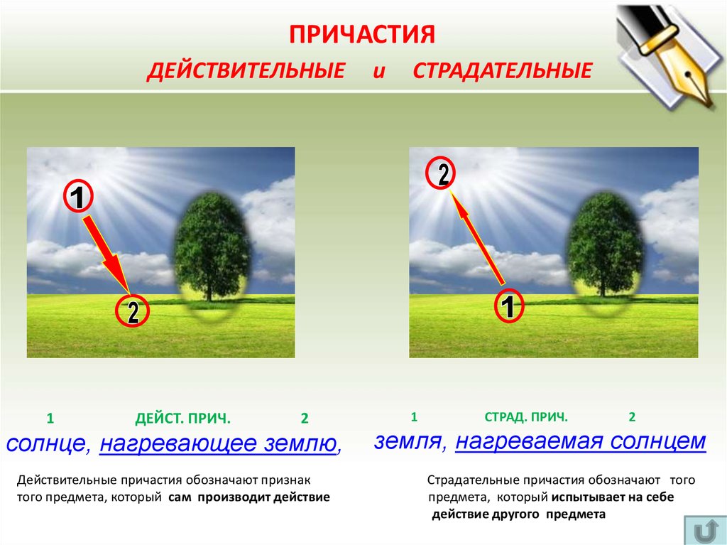 Страдательные причастия 7 класс презентация