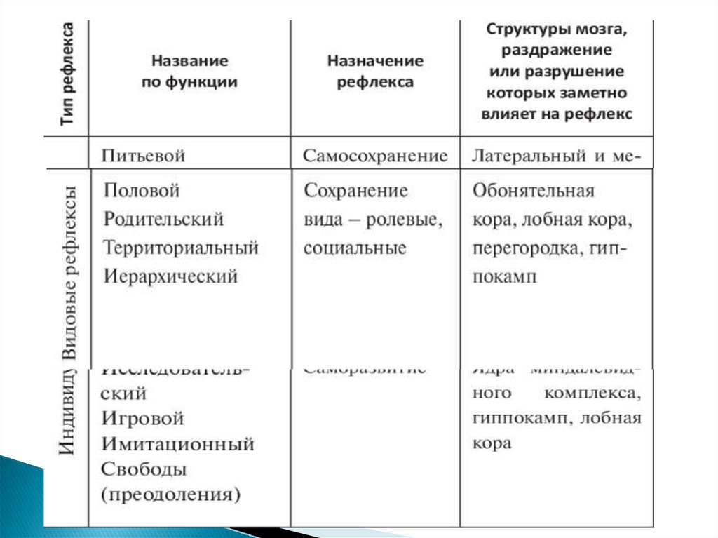 Презентация безусловные и условные рефлексы 8 класс