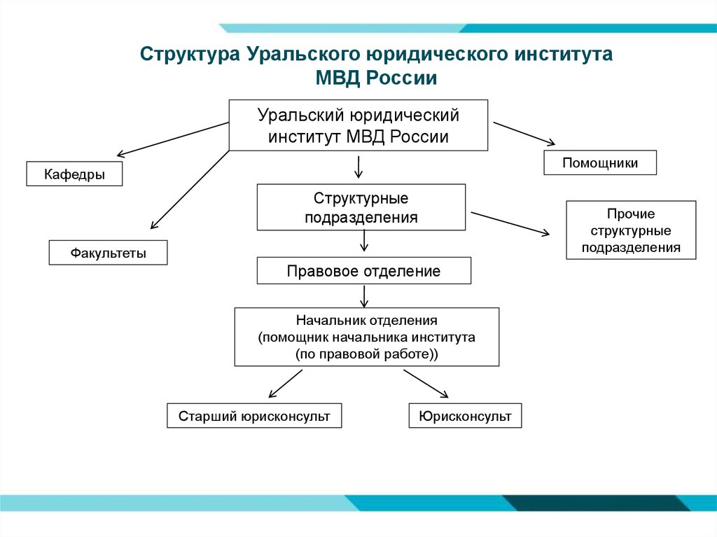 Структура института. Структура правового института. Структурное подразделение института. Структура юриспруденции. Структура МВД России учебные заведения.