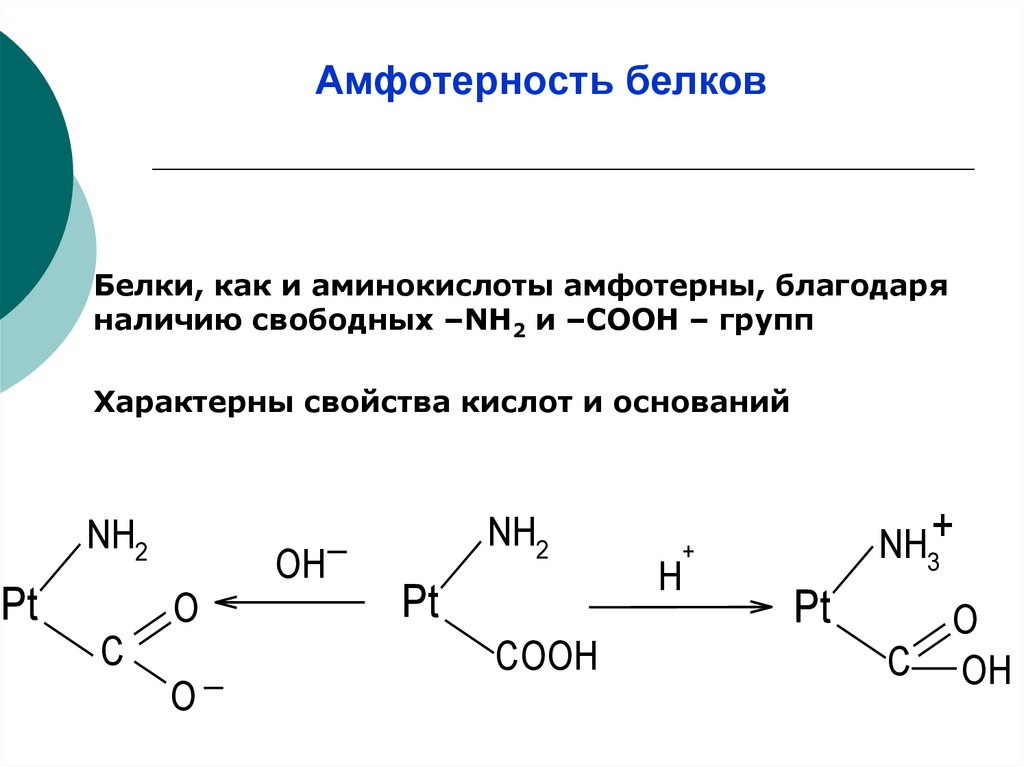 Амфотерность. Свойства белков Амфотерность. Физико-химические свойства белков Амфотерность. Амфотерность белков (кислотно-основные свойства). Белки как амфотерные макромолекулы.