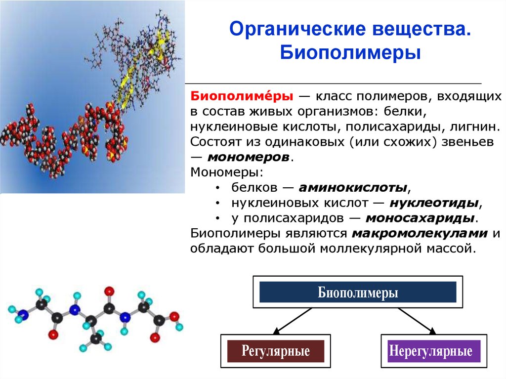Химические соединения биополимеров