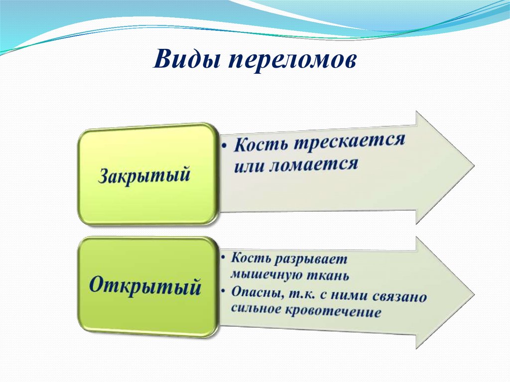 Основы здорового образа реферат