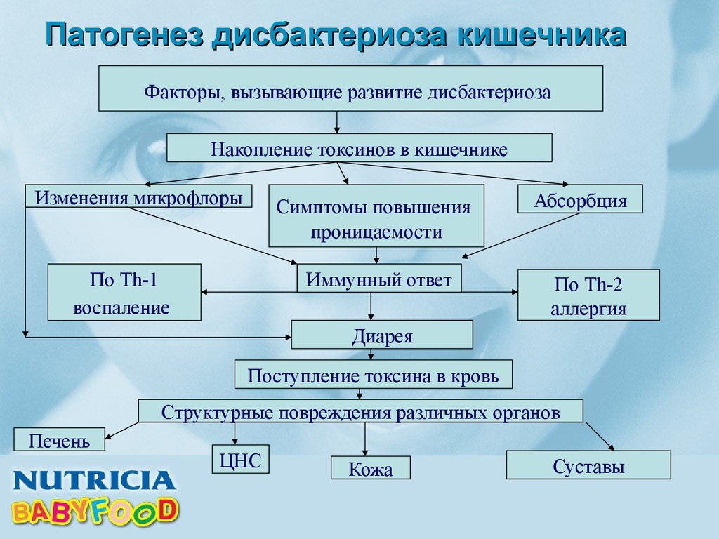 Доклад по теме Дисбактериоз кишечный