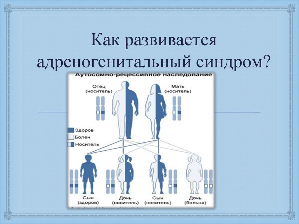 Адреногенитальный синдром у детей презентация