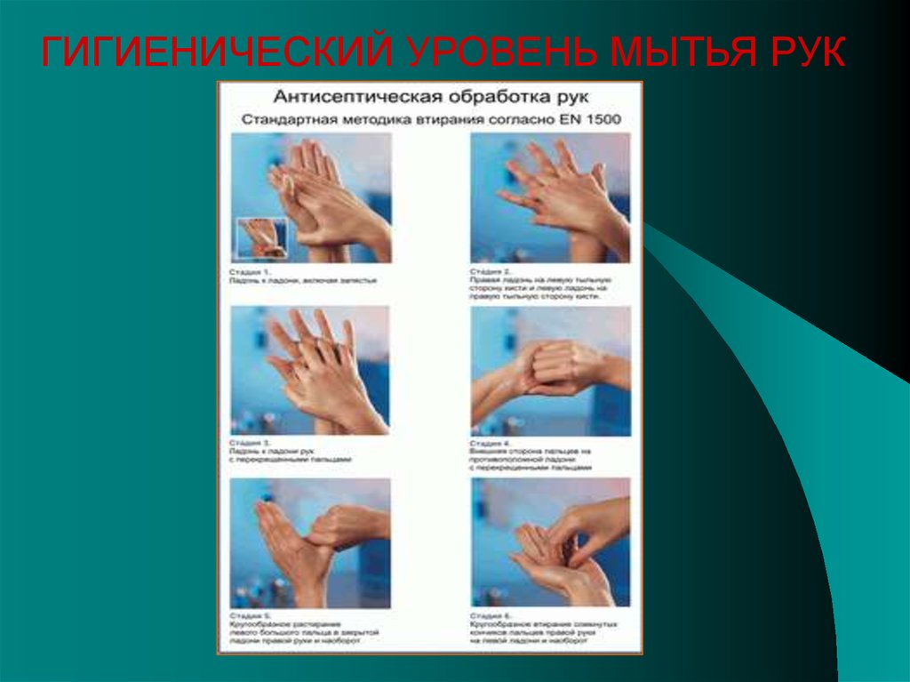 Стандарты мытье. Алгоритм гигиенической обработки рук медперсонала антисептиком. Гигиеническое мытье рук медперсонала алгоритм. Алгоритм мытья рук медперсонала. Хирургическая обработка рук схема.