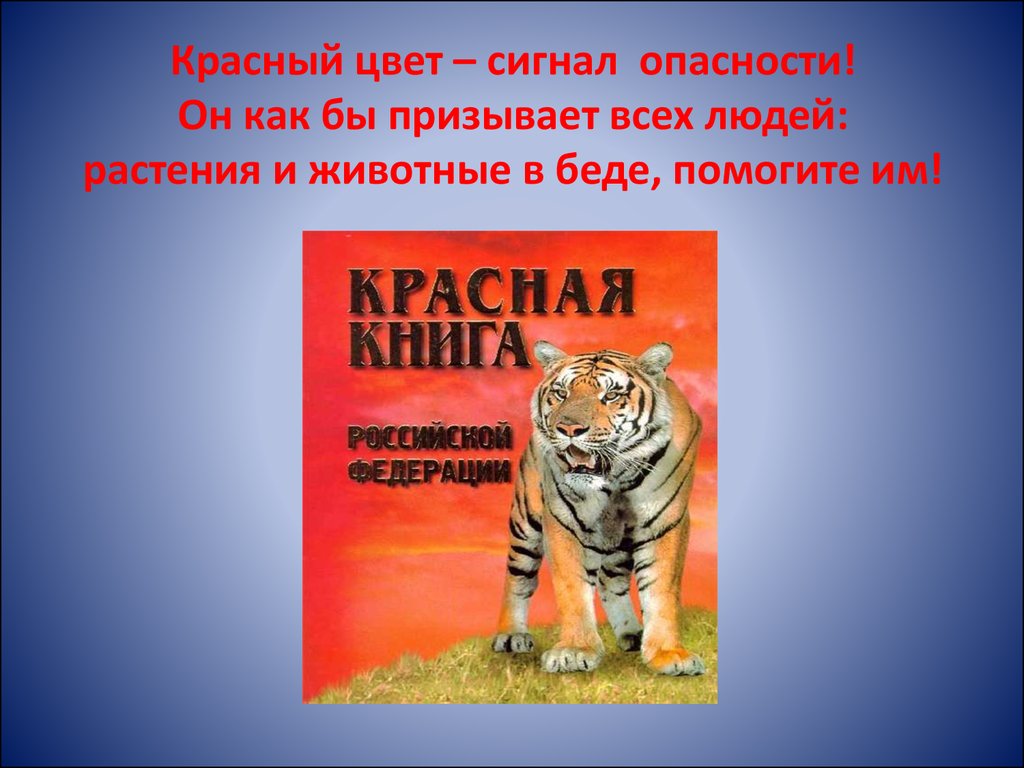 Проект красная книга окружающий мир образец. Окружающий мир 2 проект красная книга. Проект красная книга 2 класс окружающий мир. Проект красная книга 2 класс. Проект по окружающему миру 2 класс красная книга.