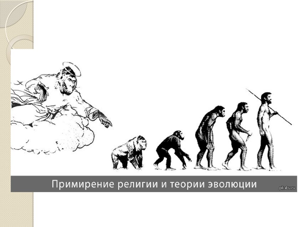 Презентация доказательства эволюции животного мира учение ч дарвина об эволюции