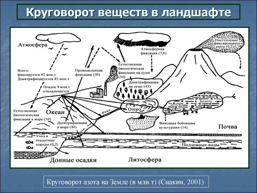 Биогенный круговорот воды схема