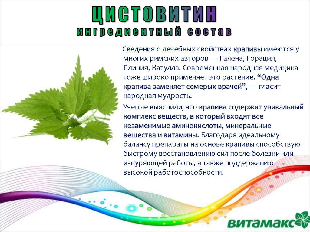 Полезные свойства крапивы. Цистовитин. Цистовитин ВИТАМАКС. Крапива лекарство грамматическая основа. Цистовитин для чего.