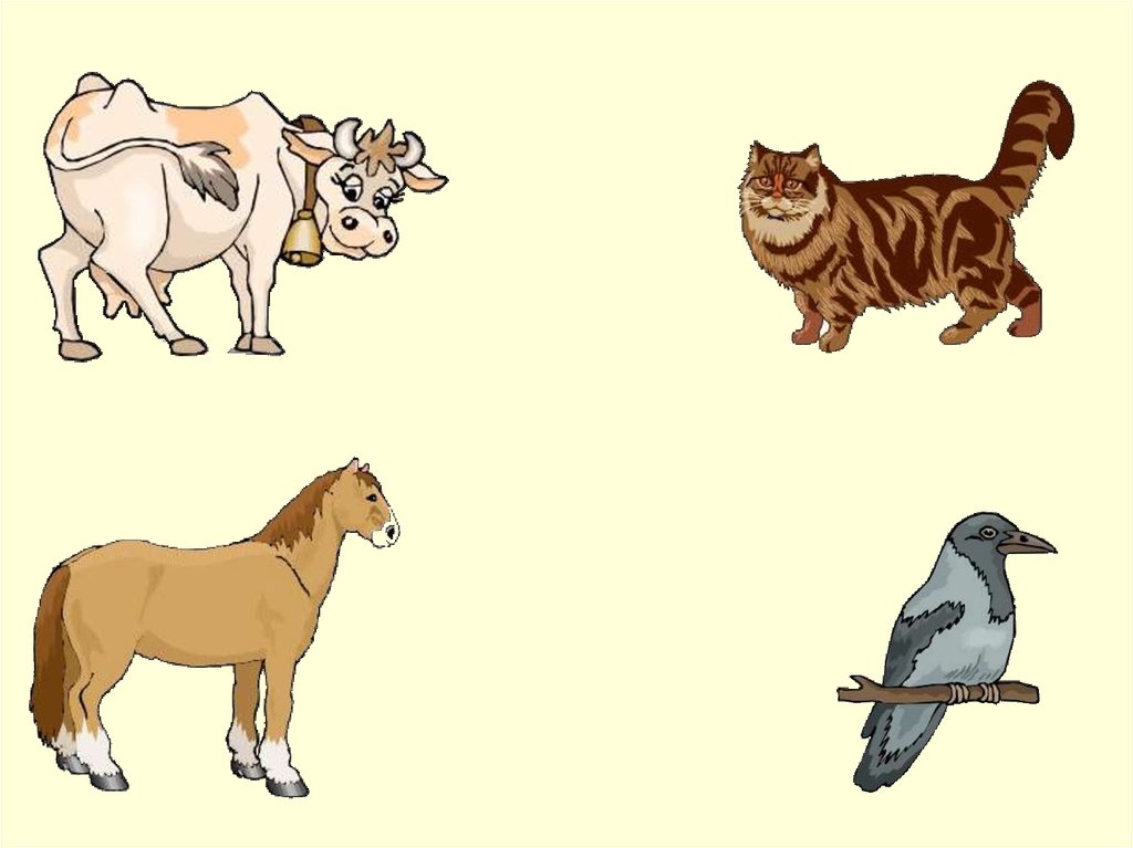 Домашние животные сравнение