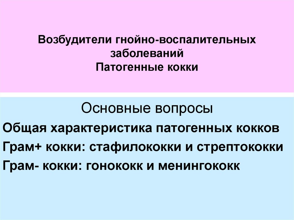 Гнойно воспалительные заболевания. Возбудители гнойных заболеваний. Возбудители гнойно-воспалительных заболеваний. Гнойно воспалительные инфекции микробиология. Возбудители гнойно-воспалительных инфекций микробиология.