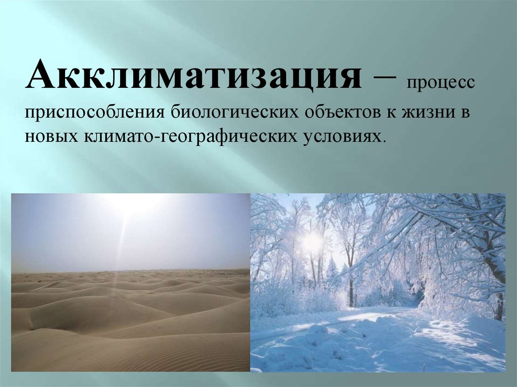 Процессы акклиматизации. Акклиматизация презентация. Адаптация к климату. Акклиматизация в условиях холодного климата. Акклиматизация в различных условиях..