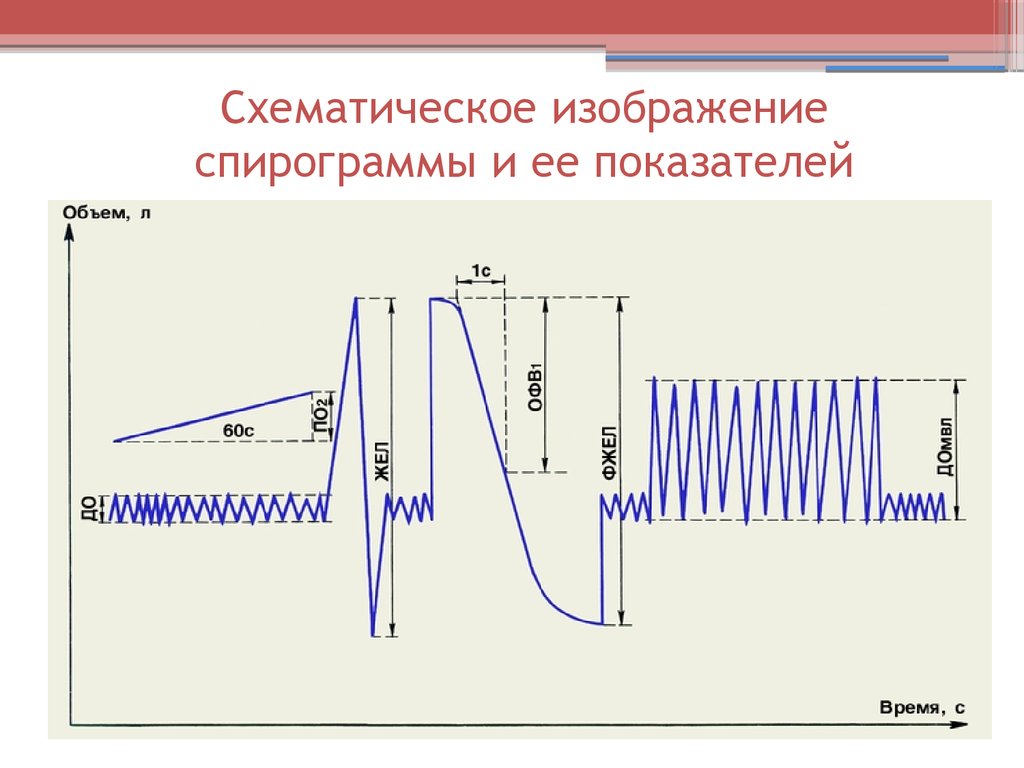 1 нарисовать спирограмму