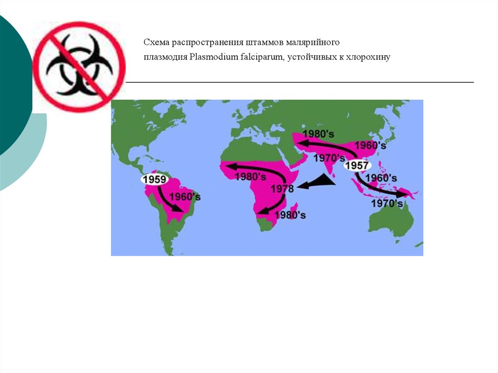 Распространение. Схема распространения. Географическое распространение малярийного плазмодия. Схема распространения ЭНК. Распространенность малярийного плазмодия.