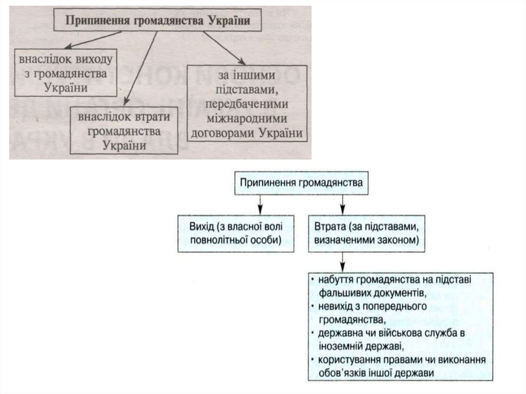 Контрольная работа по теме Поняття й принципи громадянства України