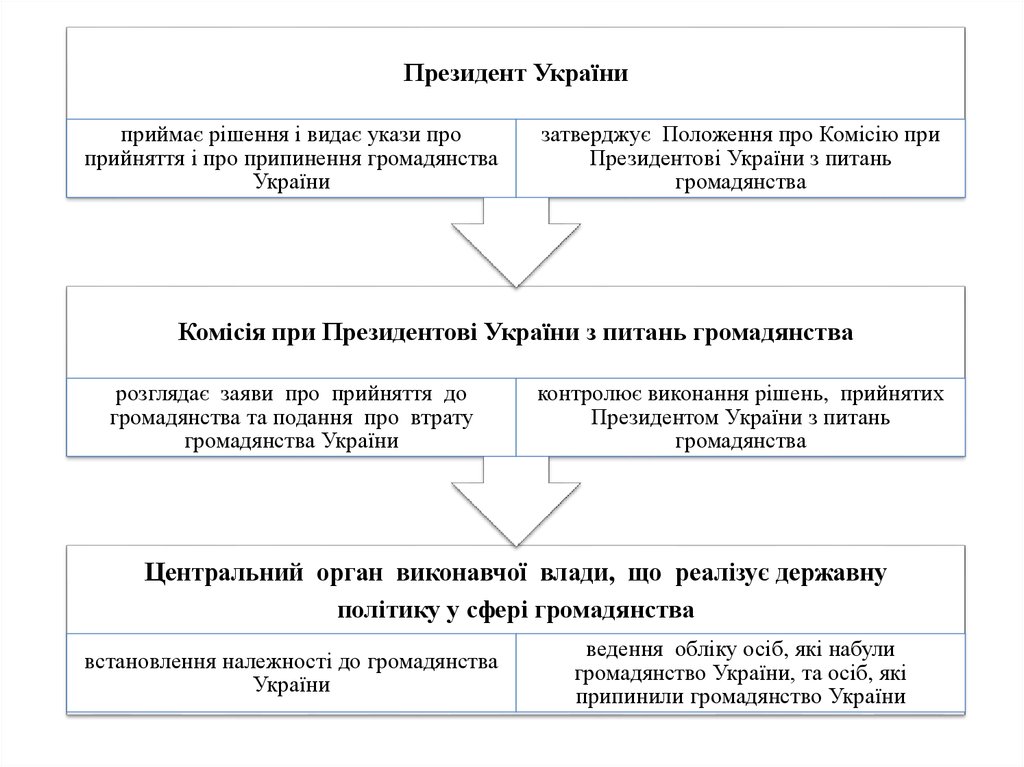 Контрольная работа по теме Поняття й принципи громадянства України