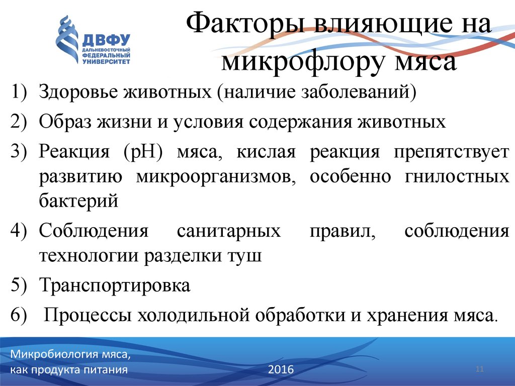 Факторы продукта. Факторы влияющие на качество мяса. Особенности микрофлоры мяса. Факторы влияющие на микрофлору. Микрофлора мяса и мясных продуктов.