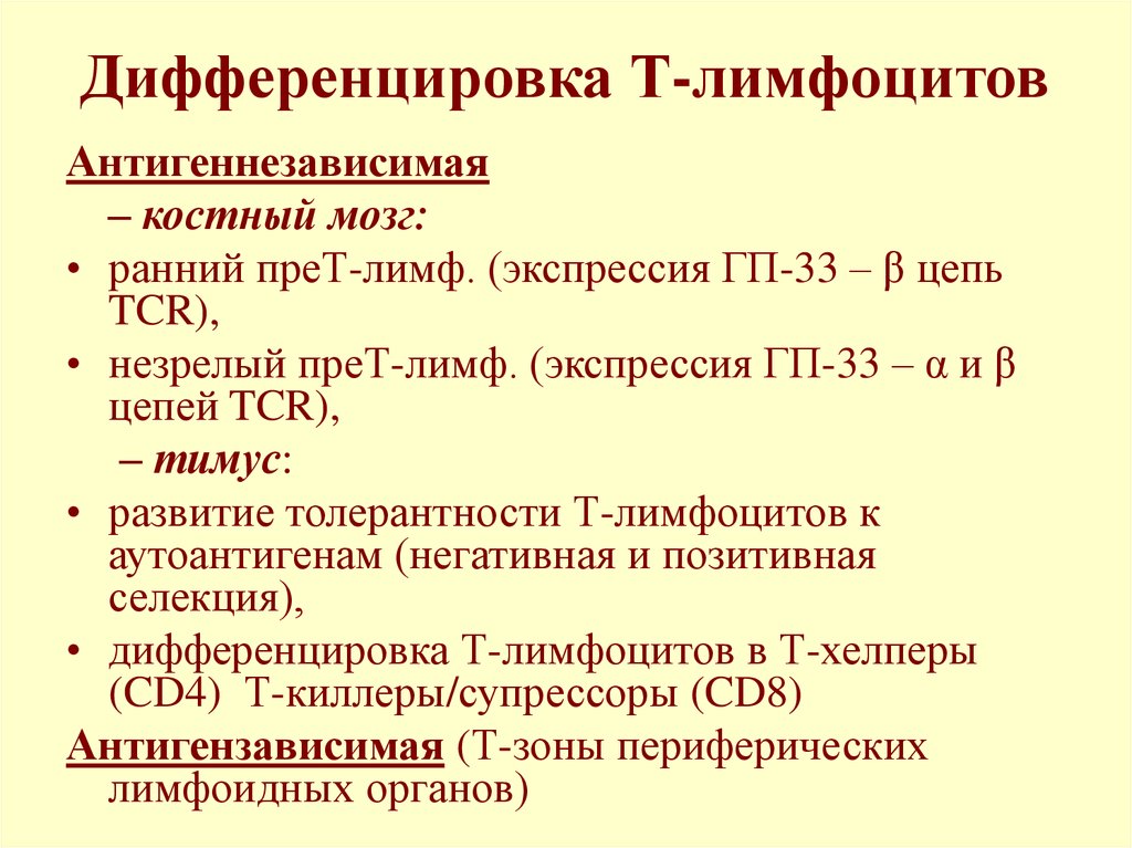 Дифференцировка лимфоцитов. Антиген-независимый этап дифференцировки т-лимфоцитов. Антигензависимая дифференцировка т-лимфоцитов схема. Этапы дифференцировки т лимфоцитов. Антиген независимая дифференцировка в лимфоцитов.