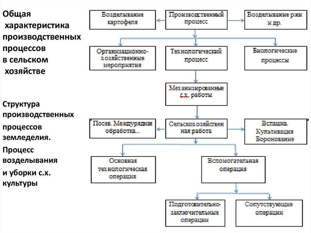 Основные параметры производственного процесса. Схема структуры производственного процесса. Структура и виды производственных процессов в сельском хозяйстве. Основные показатели технологического процесса в сельском хозяйстве. Перечислите производственные процессы в сельском хозяйстве.