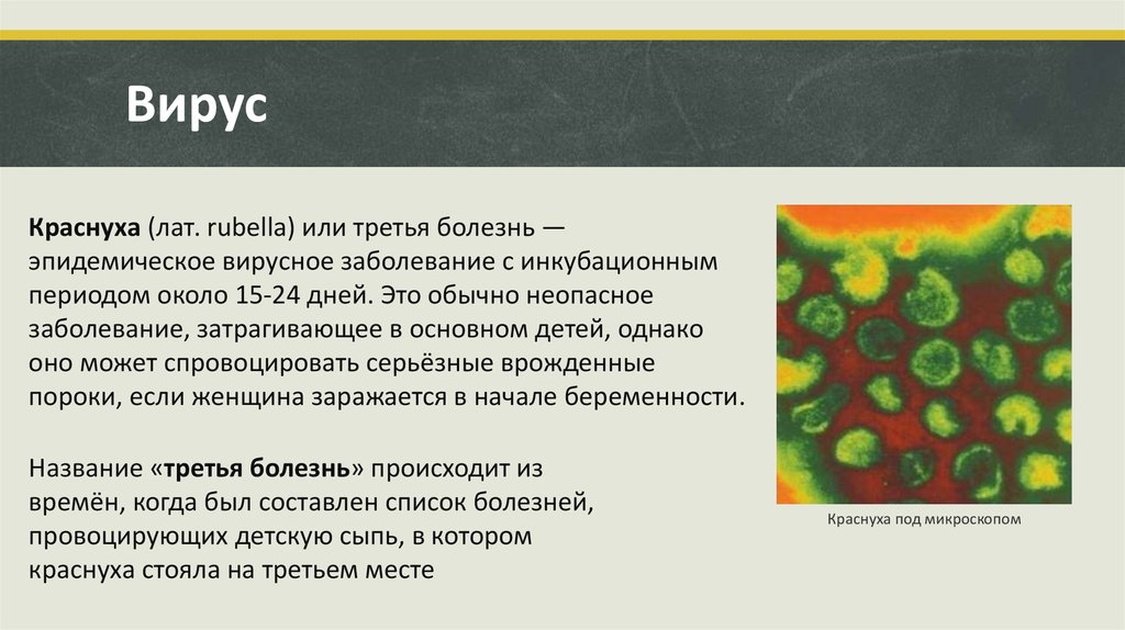 Вирус краснухи микробиология презентация. Строение вируса краснухи. Краснуха исследуемый материал. Краснуха какой вирус