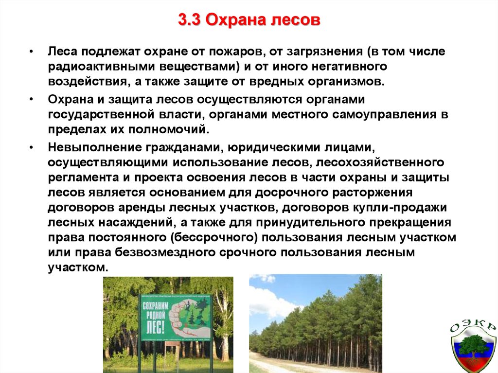 3.3 Охрана лесов