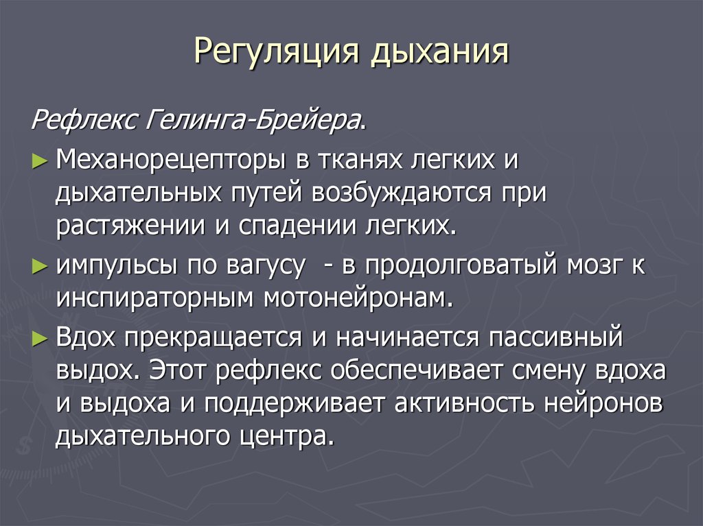 Рефлекс геринга брейера схема