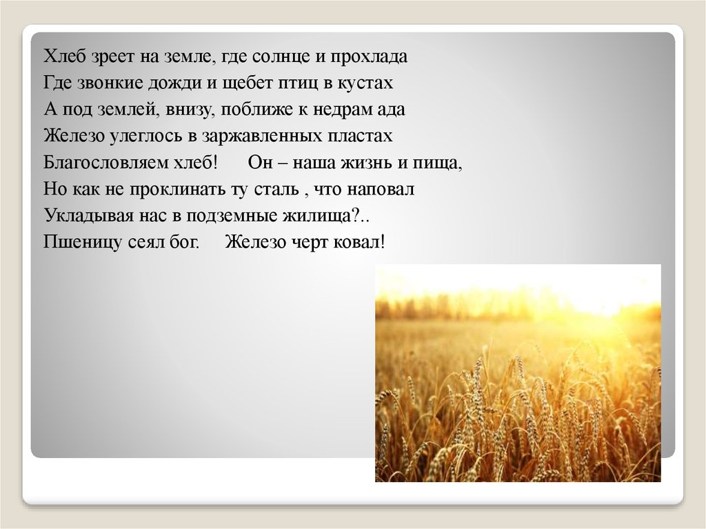 Образ хлеб жизни. Что такое зрю в стихотворении. Стих поле хлебное созрело. Хлеба вызреют. Хлеб на земле где это.