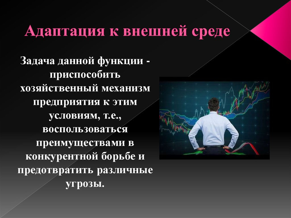 Адаптация к новой культурной среде презентация