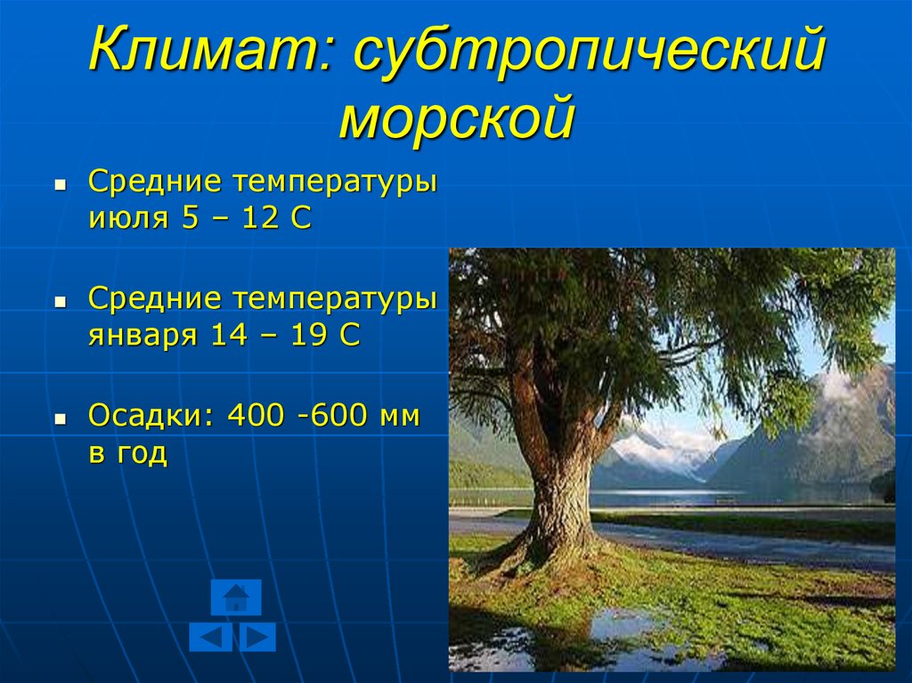 Температура в январе в субтропическом поясе. Субтропический климат температура. Средняя температура в субтропиках. Климатические условия субтропиков. Климат субтропиков осадки.