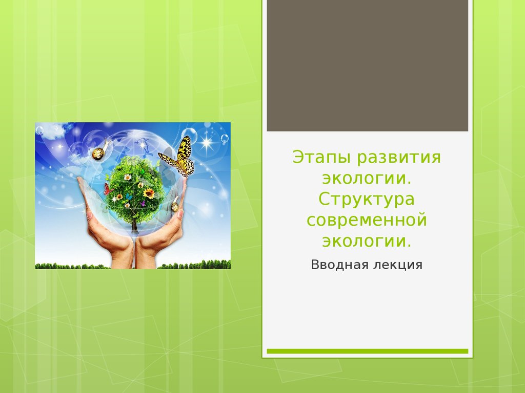 Этапы развития экологии. Периоды развития экологии. Ступени экологического развития. Этапы развития экологического законодательства.