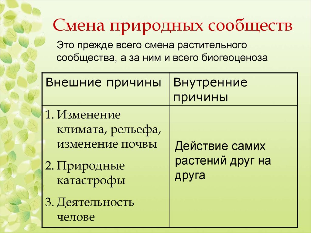 Презентация смена природных сообществ 6 класс пономарева